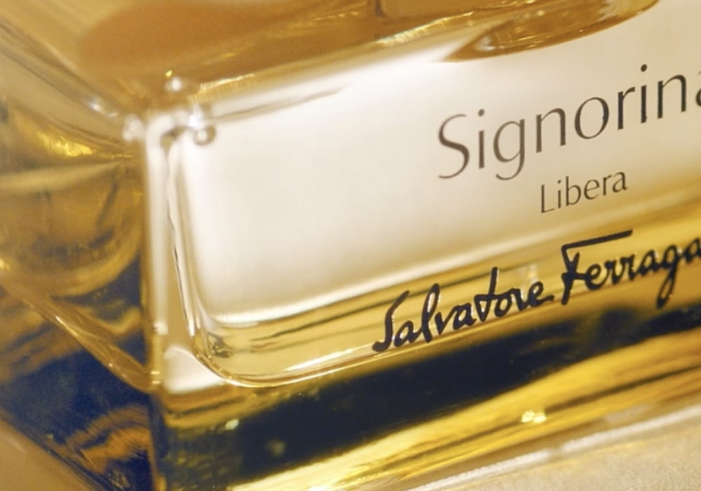 Signorina new min