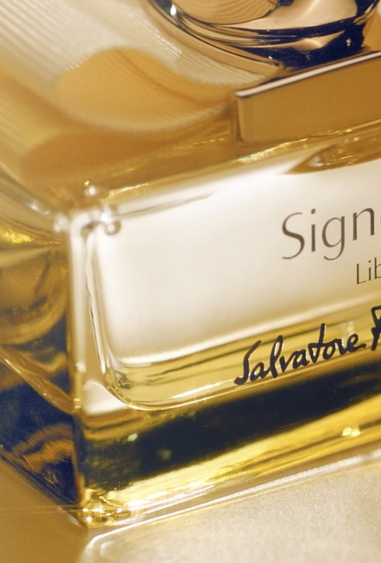 Signorina new min